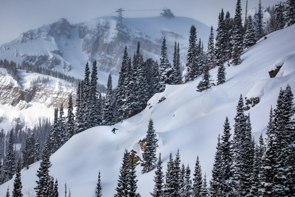 Natural Selection air