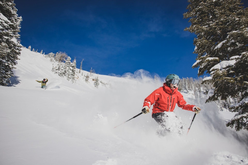 Shredding powder with friends! Skier and snowboarder having a blast.