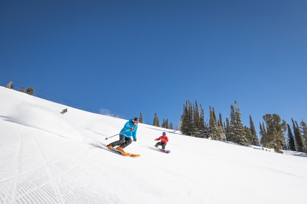 sunny groomer skiing