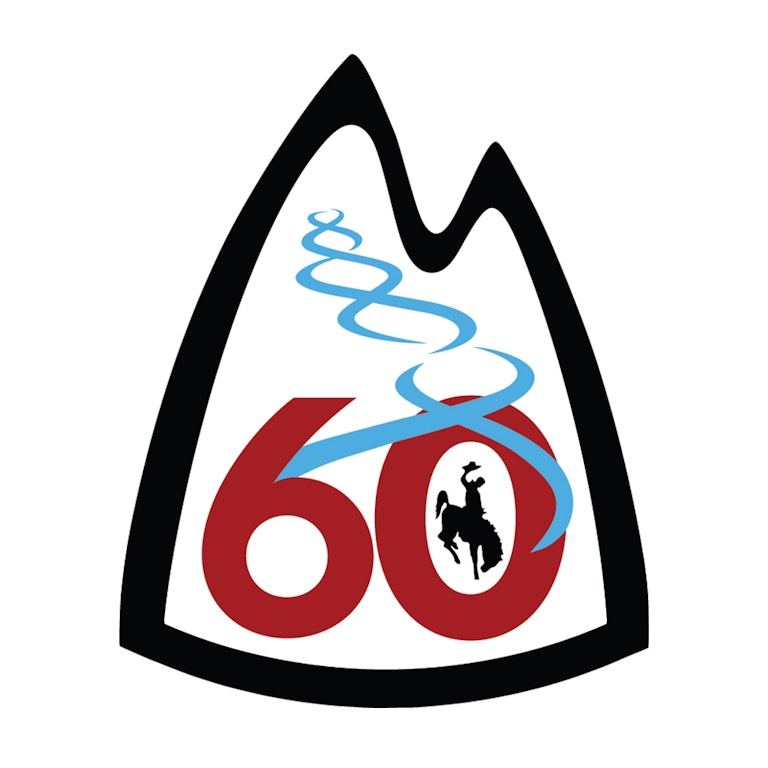 60th logo