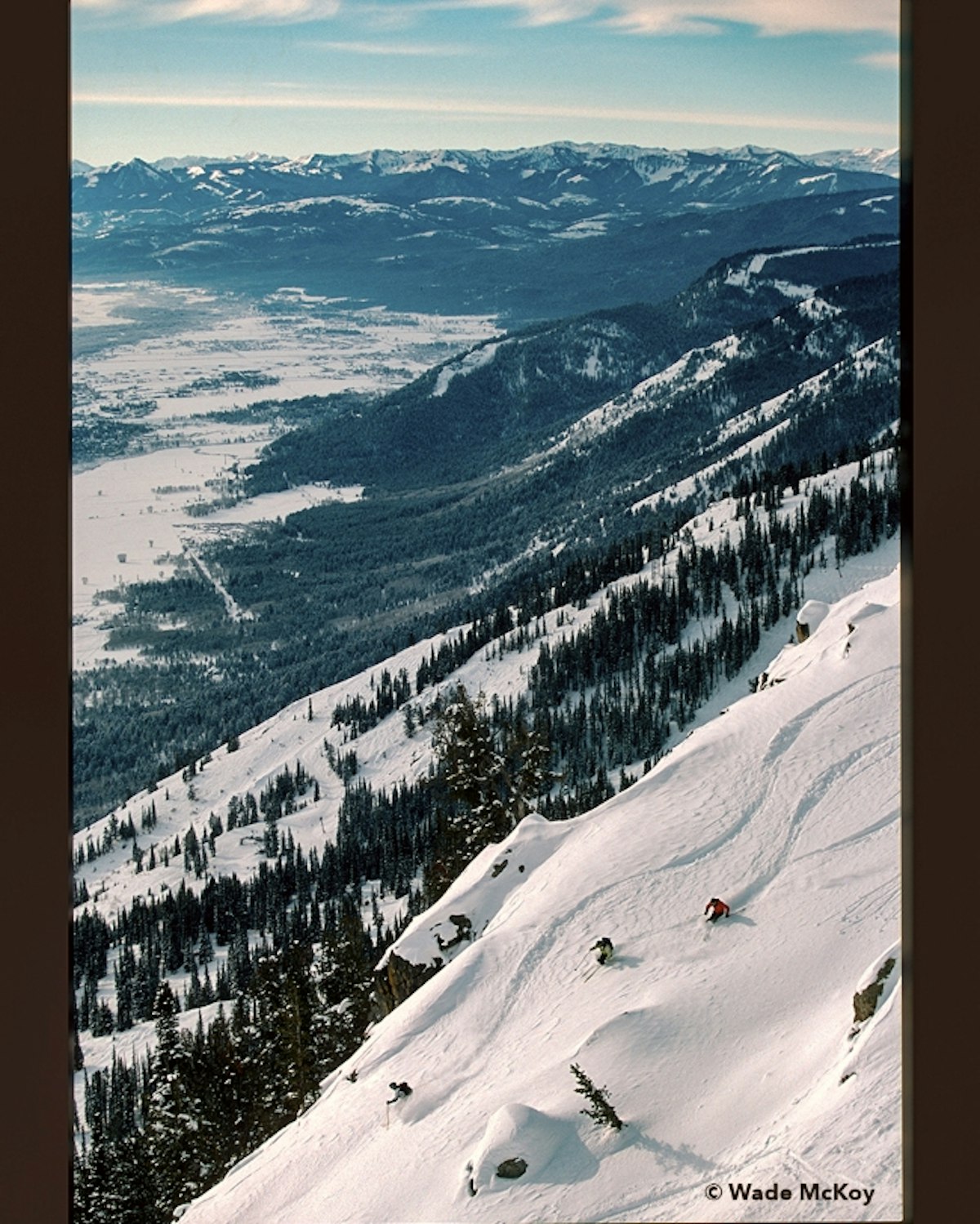 skiers making powder turns