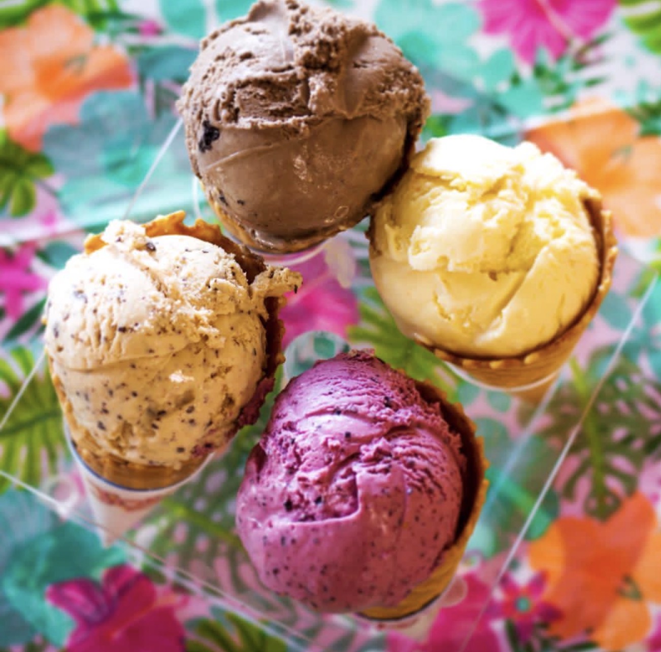 Moo's Ice Cream
