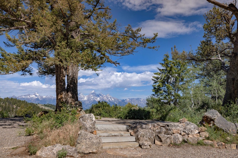 Wedding Tree Day-Use Site Improvements