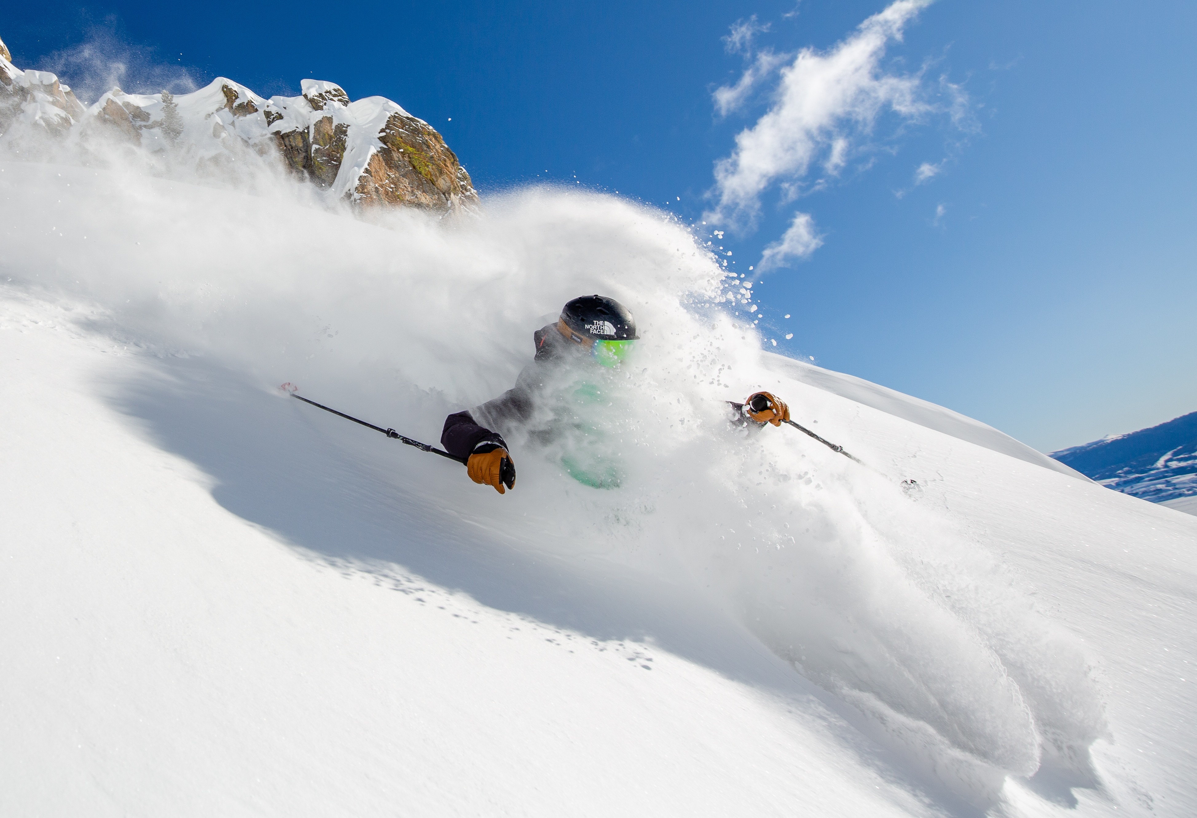 Bluebird powder turns
