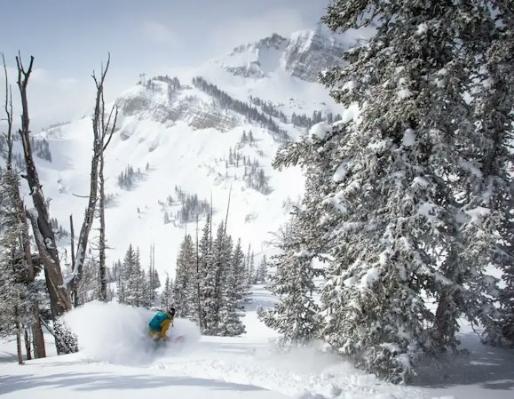 Snowboarder rides between trees with large mountain in the background