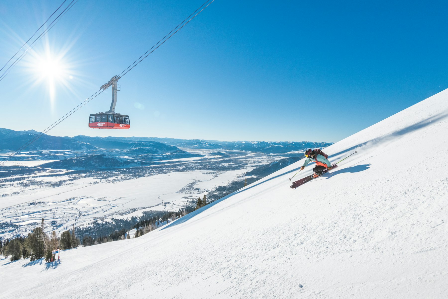 A skier carves down groomed corduroy beneath the Jackson Hole aerial tram, with the valley stretching out below