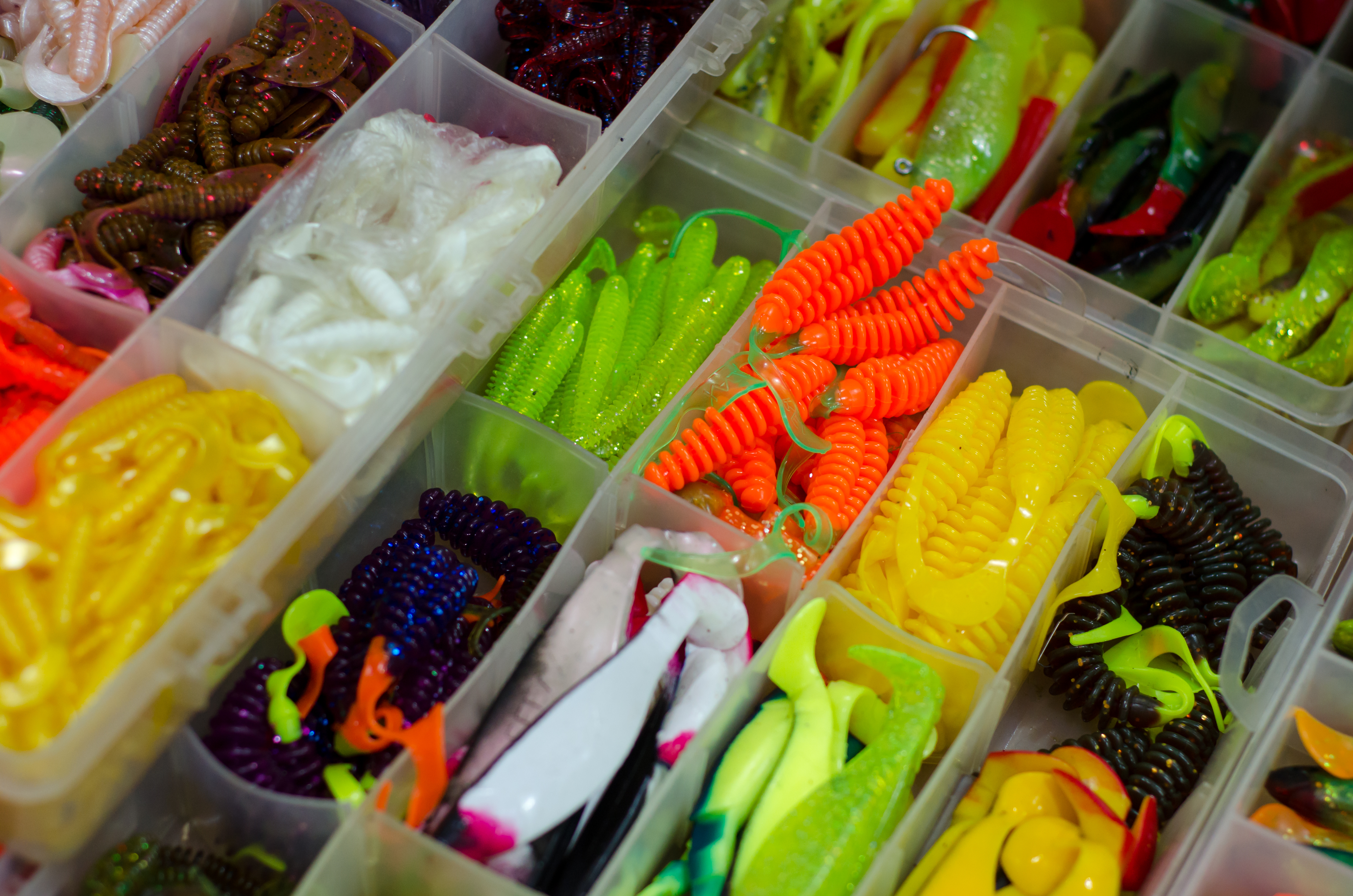 A tackle box with a variety of bait and lures.