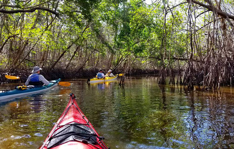 Florida Everglades, Holiday Park