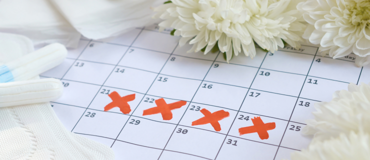 Menstruationsurlaub im Kalender eingetragen