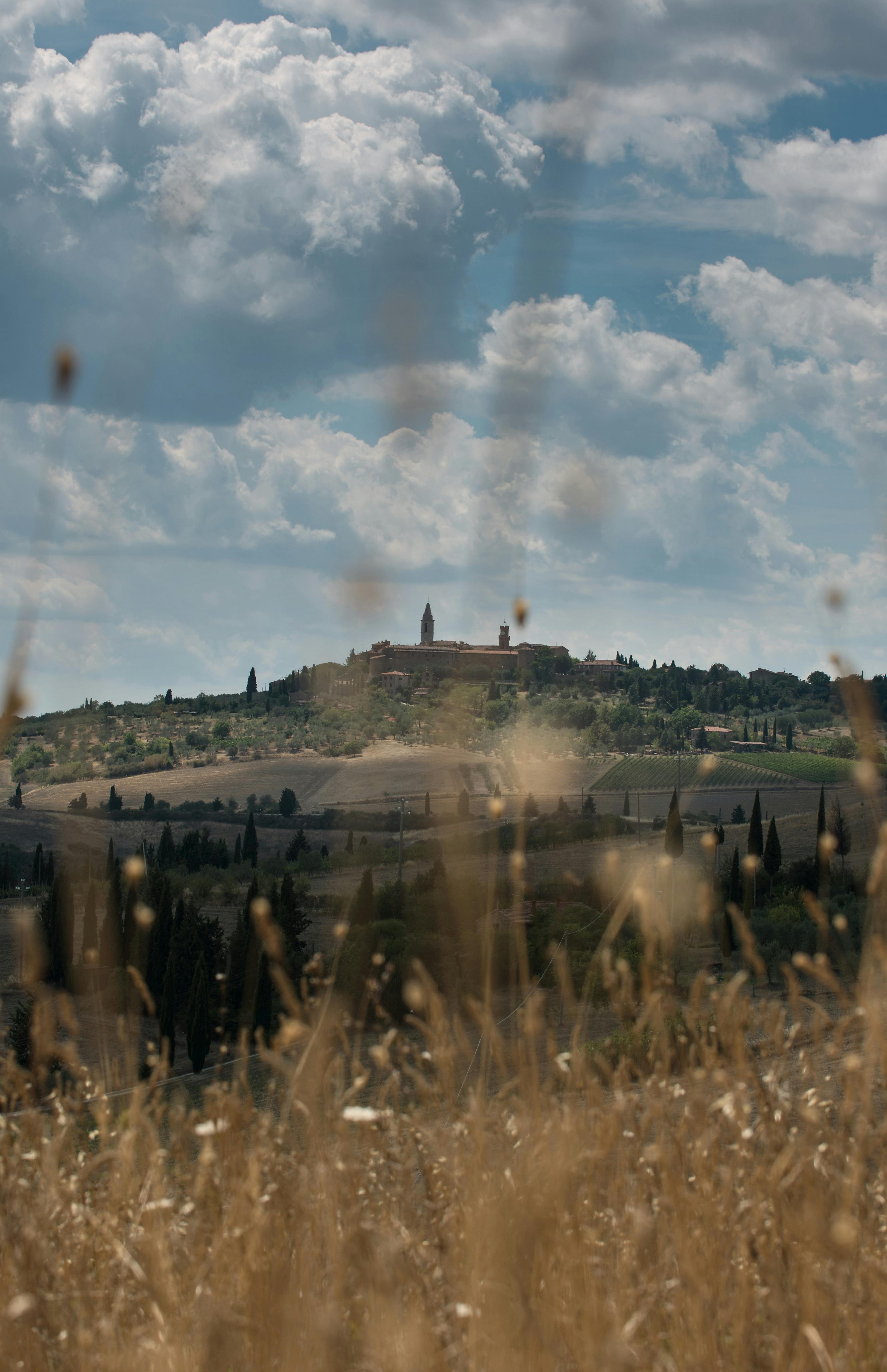 Foto panoramica Foto di Pienza panoramica da lontano