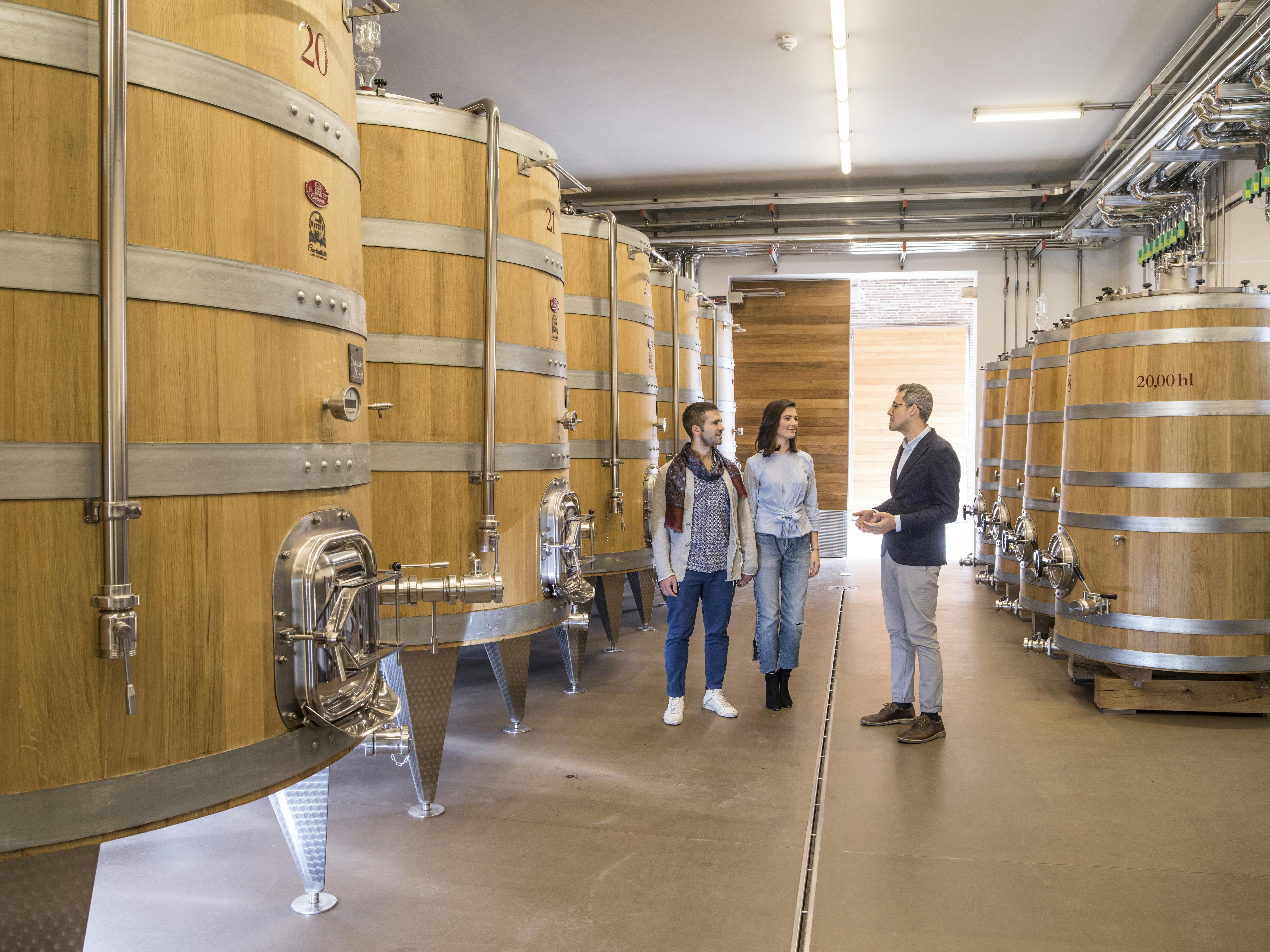 Visite cantina