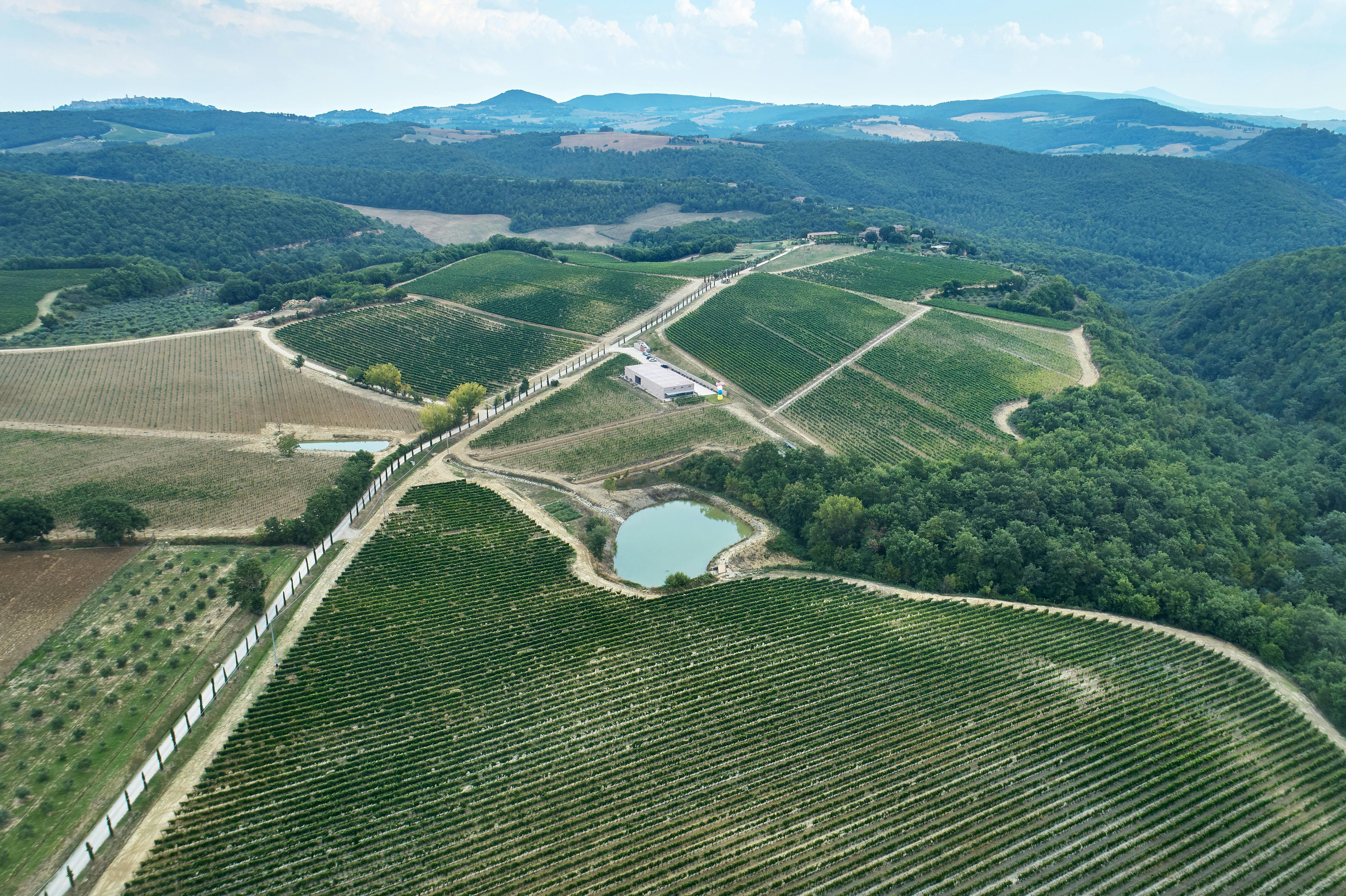 Aerial view by a drone on the winery surrounded by the vineyards, 2 lakes and woodlands