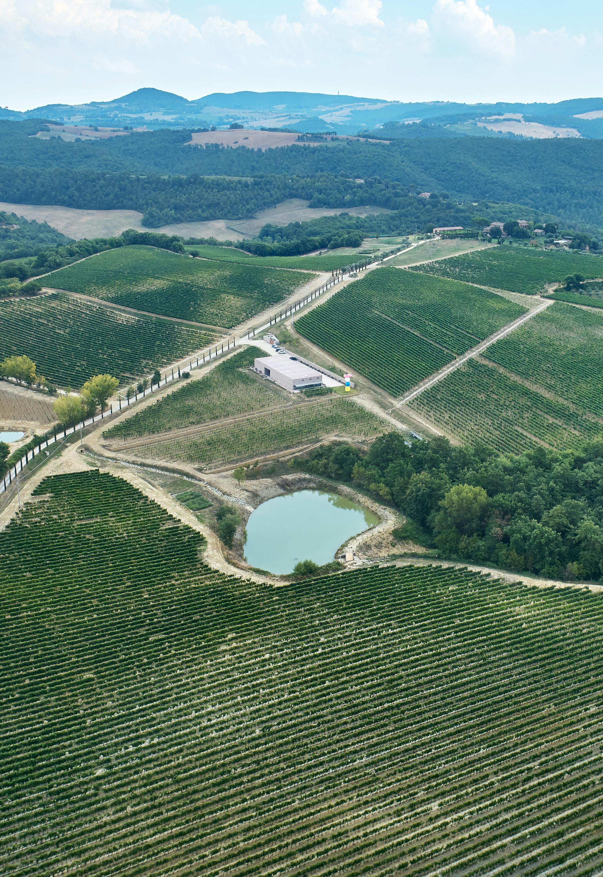 WINERY-Philosophy-0 Footprint carbon Drone view winery lake vineyards and woods Aerial view by a drone on the winery surrounded by the vineyards, 2 lakes and woodlands