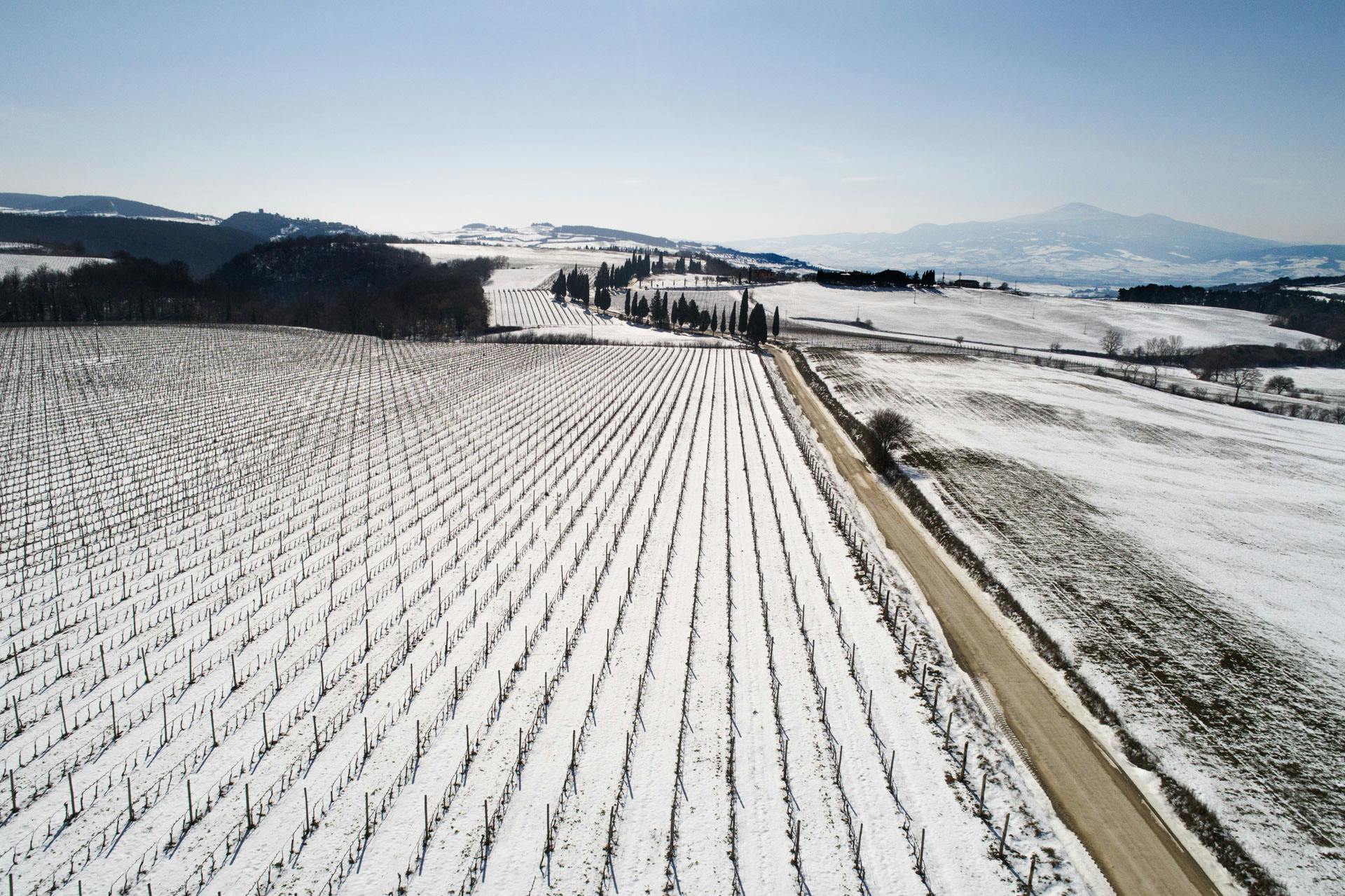 Vista aerea dei vigneti con la neve e il Monte Amiata nel background