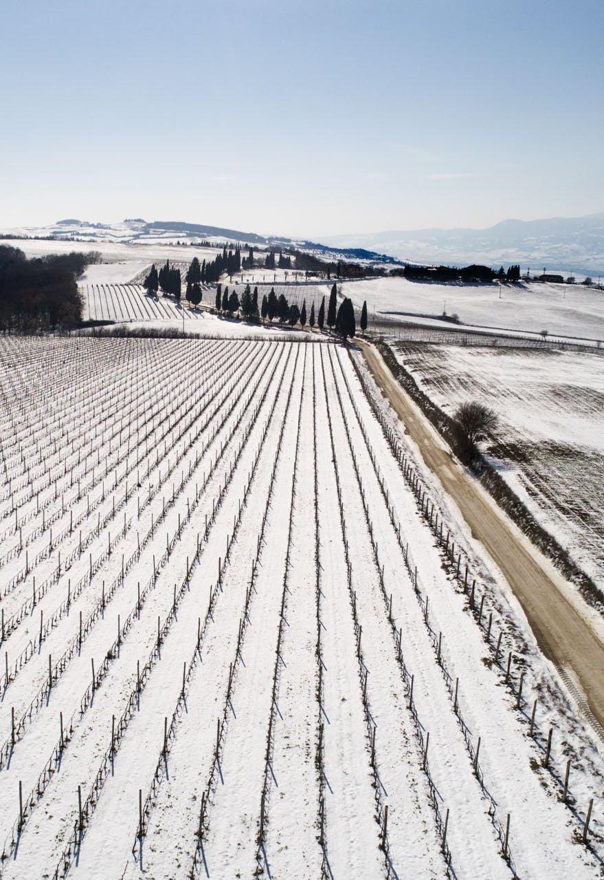 WINERY_Philosophy_Sustainable Aerial view of the vineyards with snow and Monte Amiata in the background