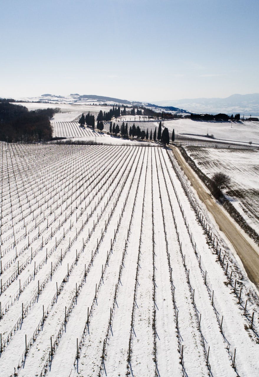 CANTINA_Filosofia_Sostenibile Vista aerea dei vigneti con la neve e il Monte Amiata nel background