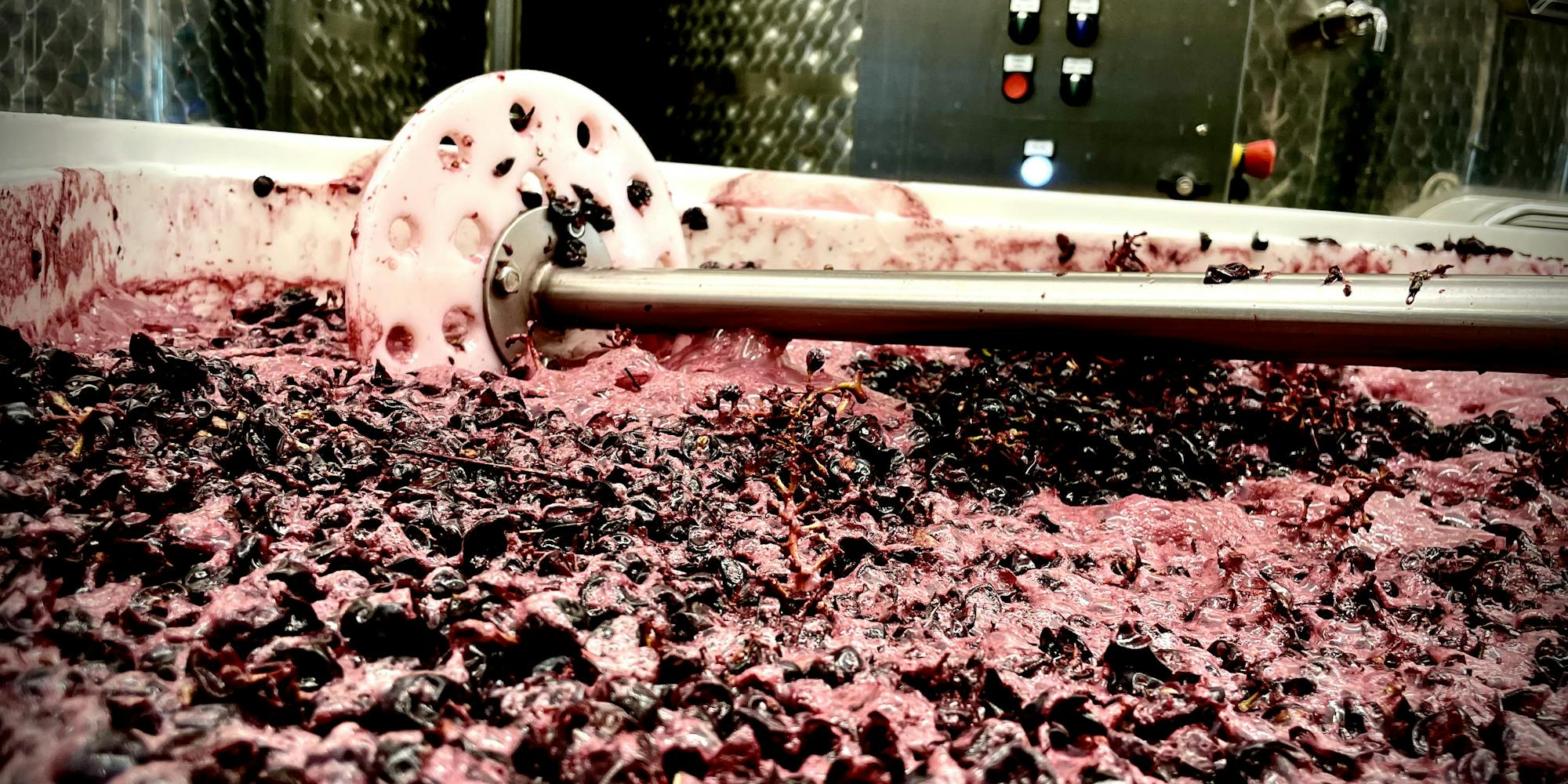 Winemaking_HERO_punching down Vista sulla fermentazione dell'uva reg in un contenitore aperto con uno strumento per la follatura manuale