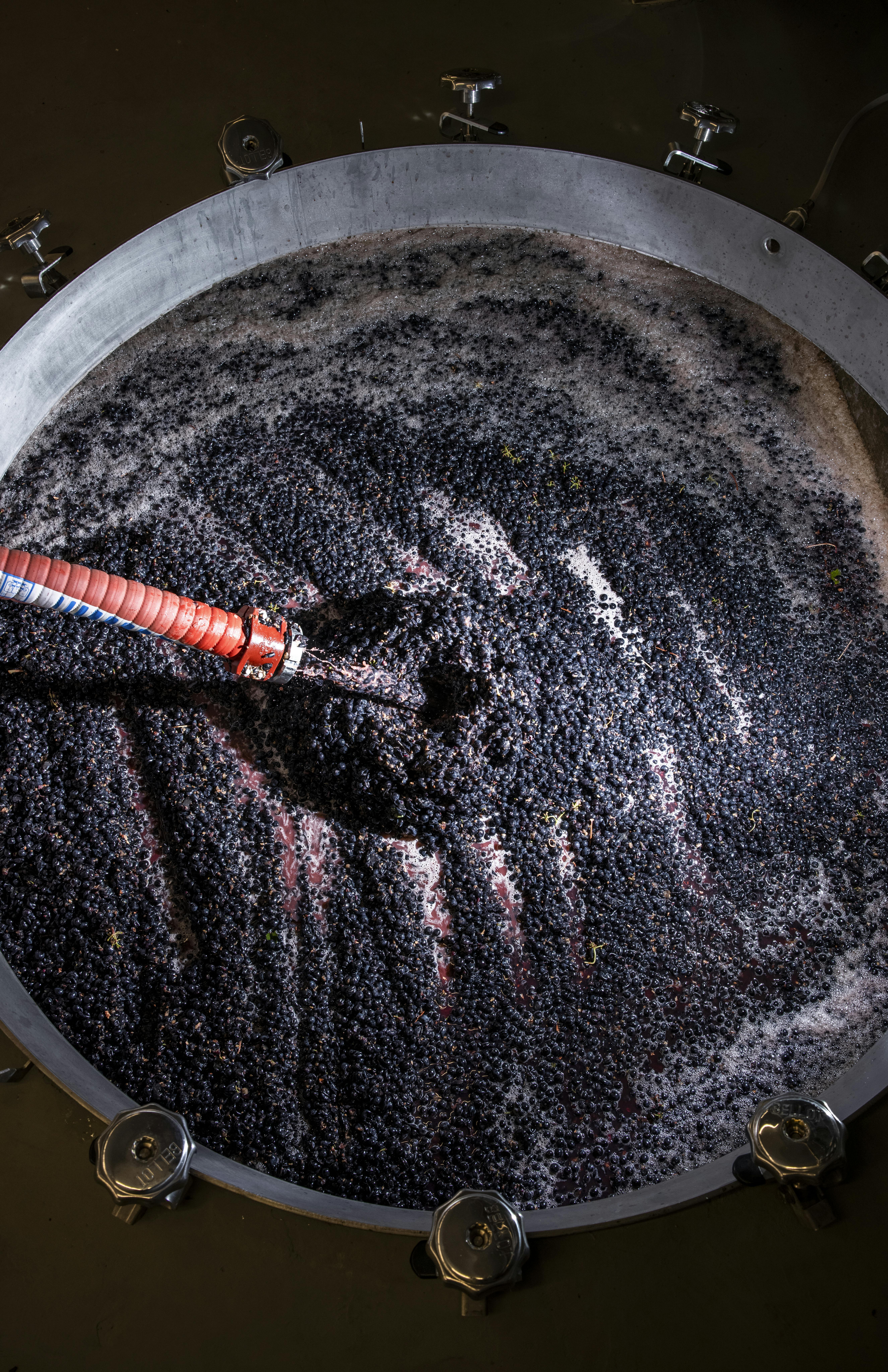 Winemaking-pumping over View on an open NOMBLOT concrete tanks during pumping over