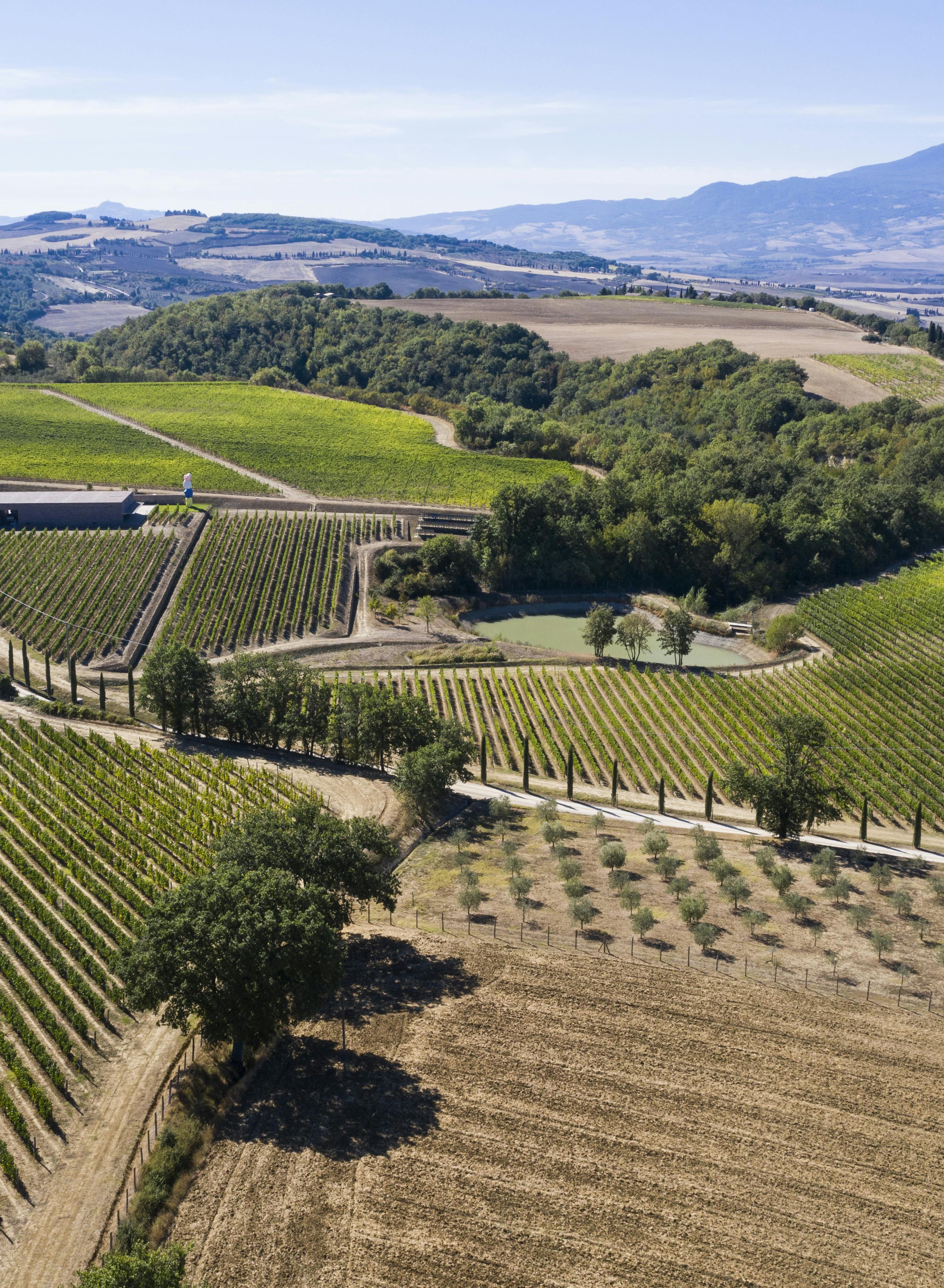 Aerial view on the winery and lake Aerial view on the winery and lake
