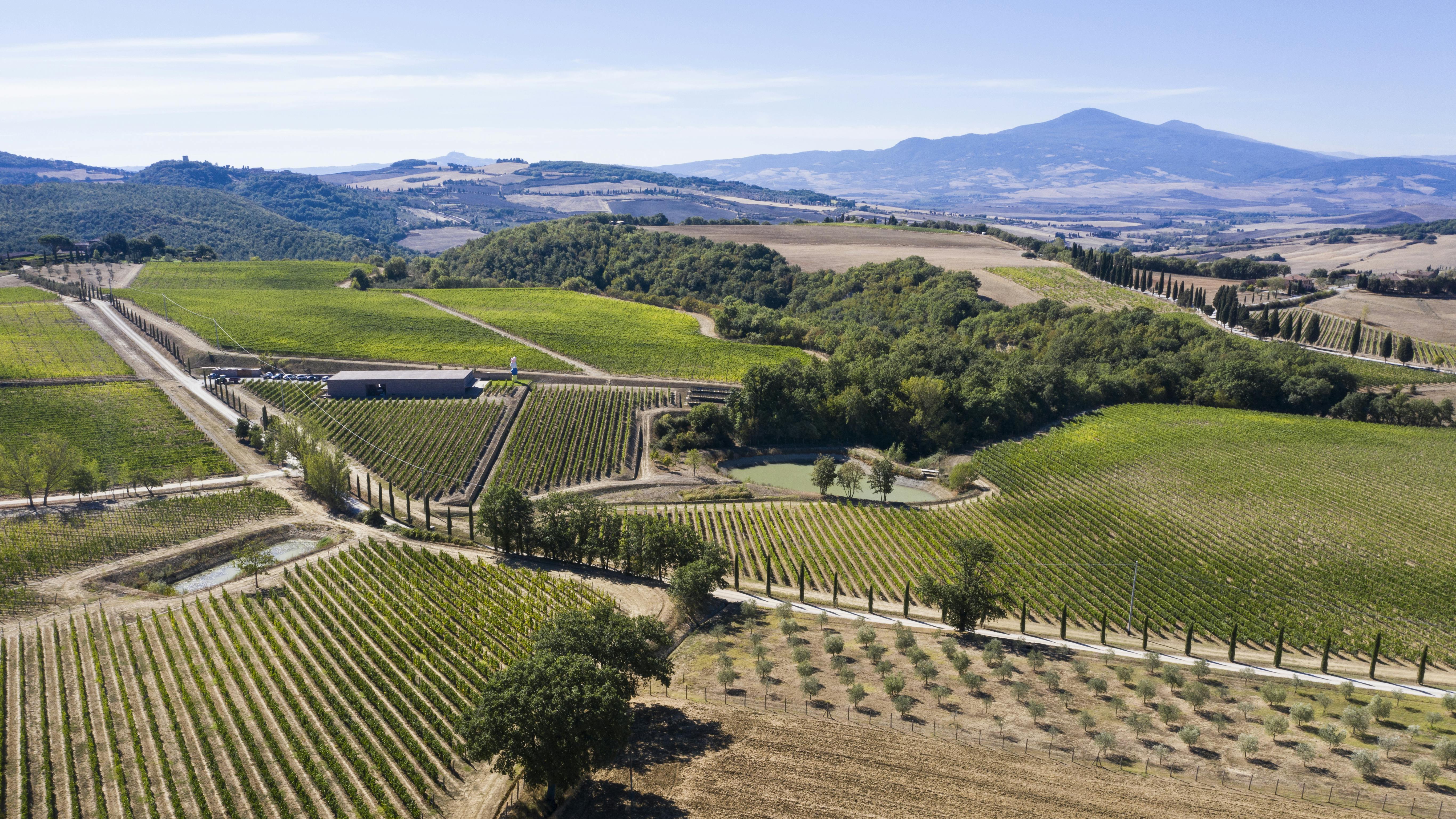 Aerial view by dron on winery vinyards and monte amiata Aerial view by dron on winery vinyards and monte amiata