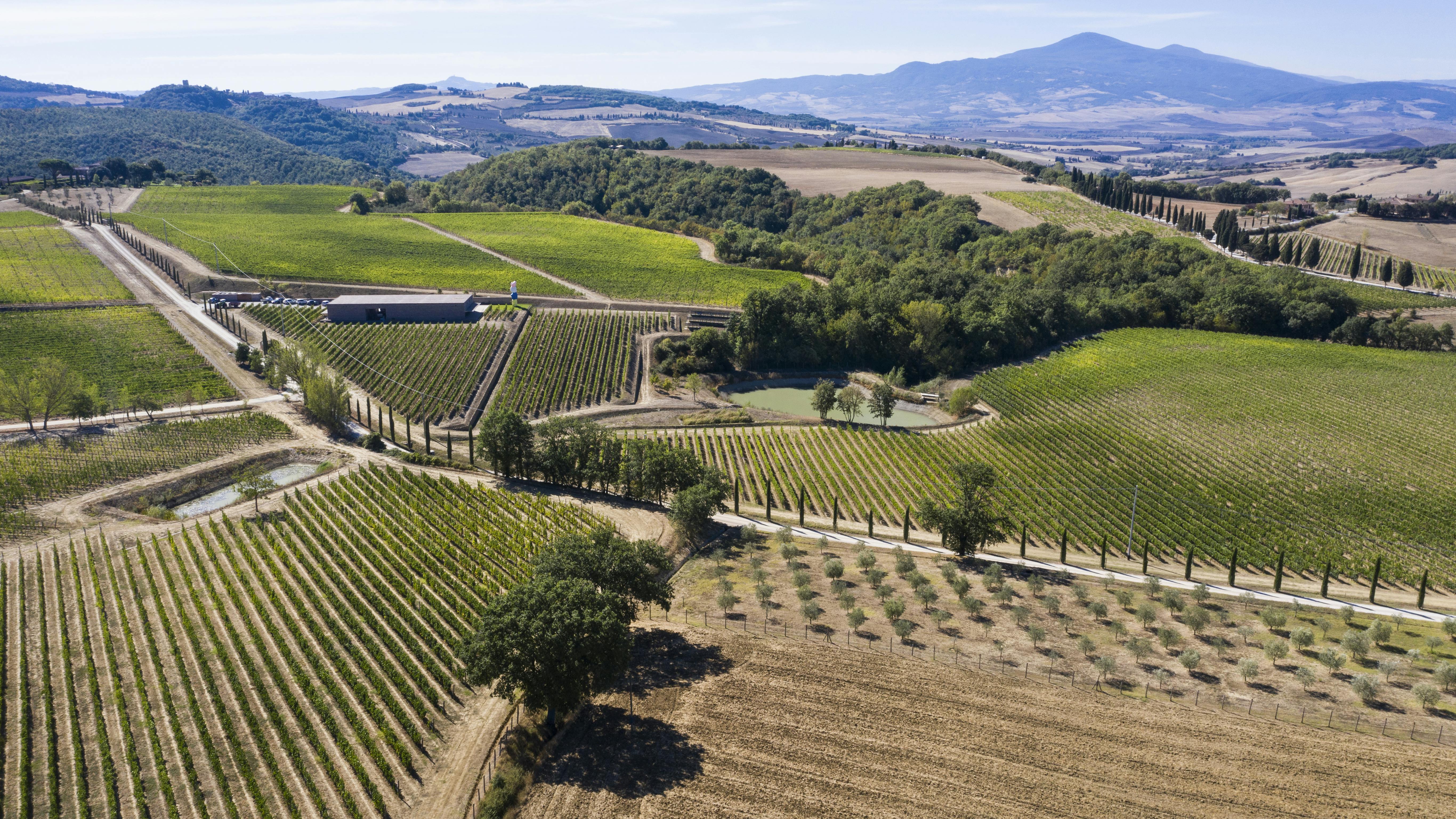 Aerial view on the winery and lake Aerial view on the winery and lake