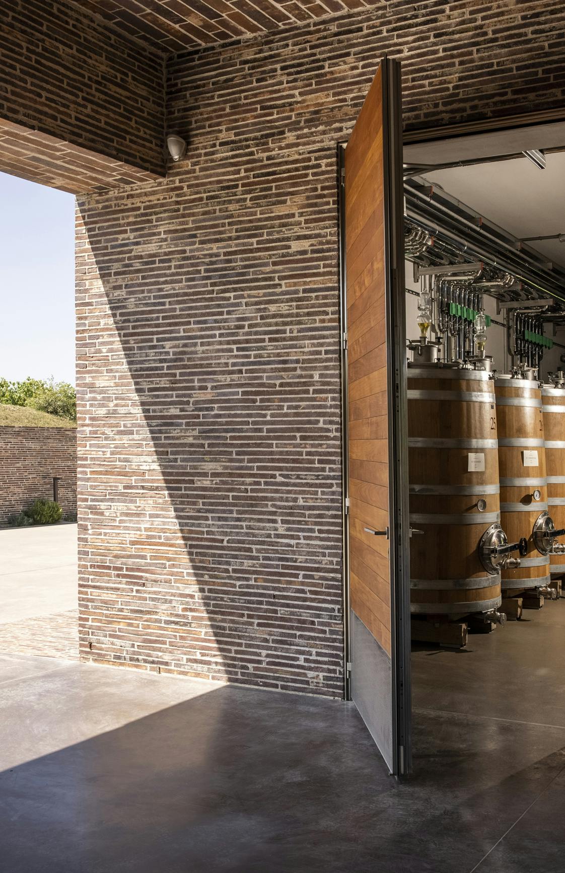 Architecture winery brick conic casks View from the tunnel of the winery on bricks walls and bid wooden conic casks