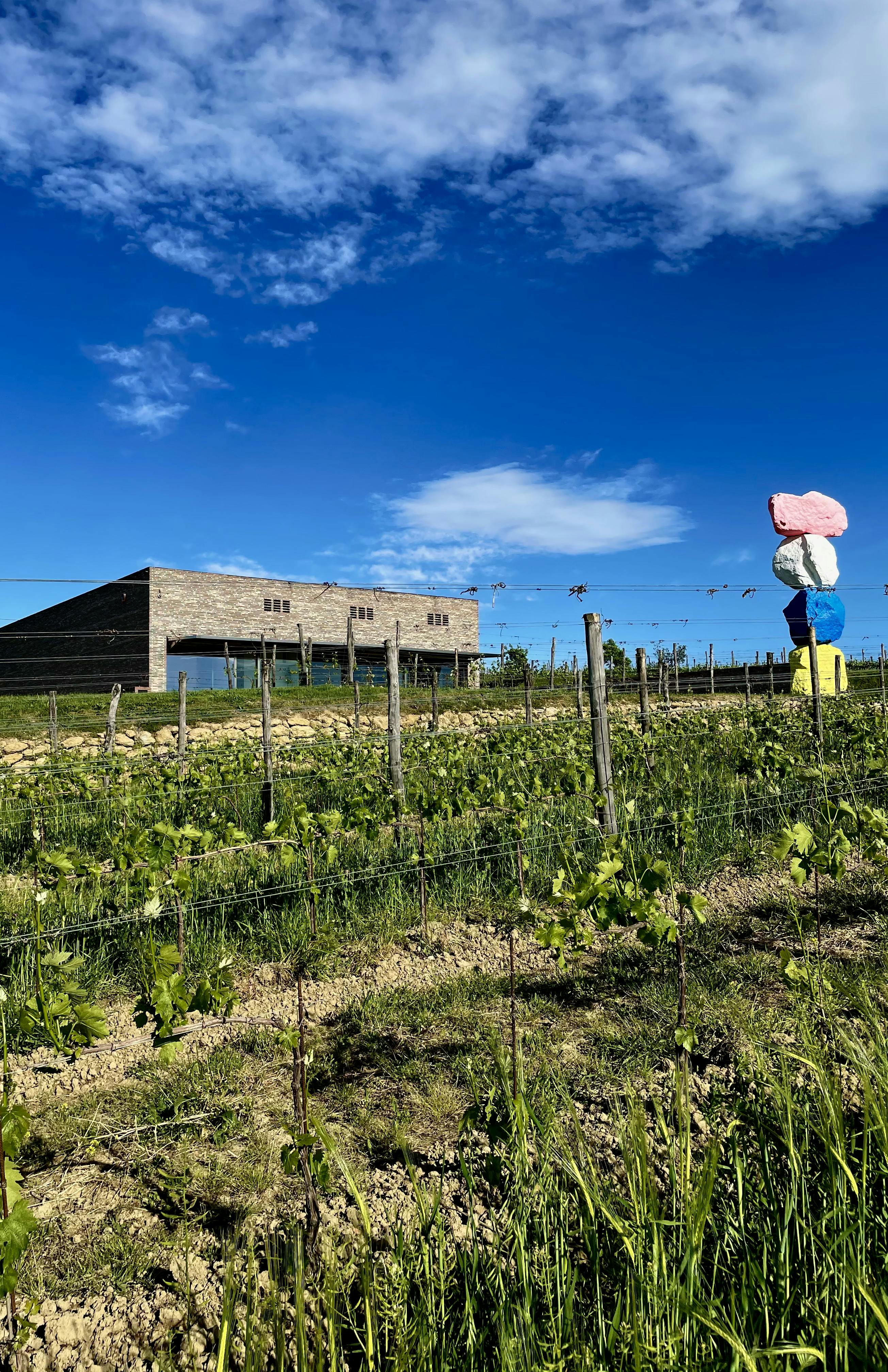 winery architecture vineyard ugo rondinone winery architecture vineyard ugo rondinone
