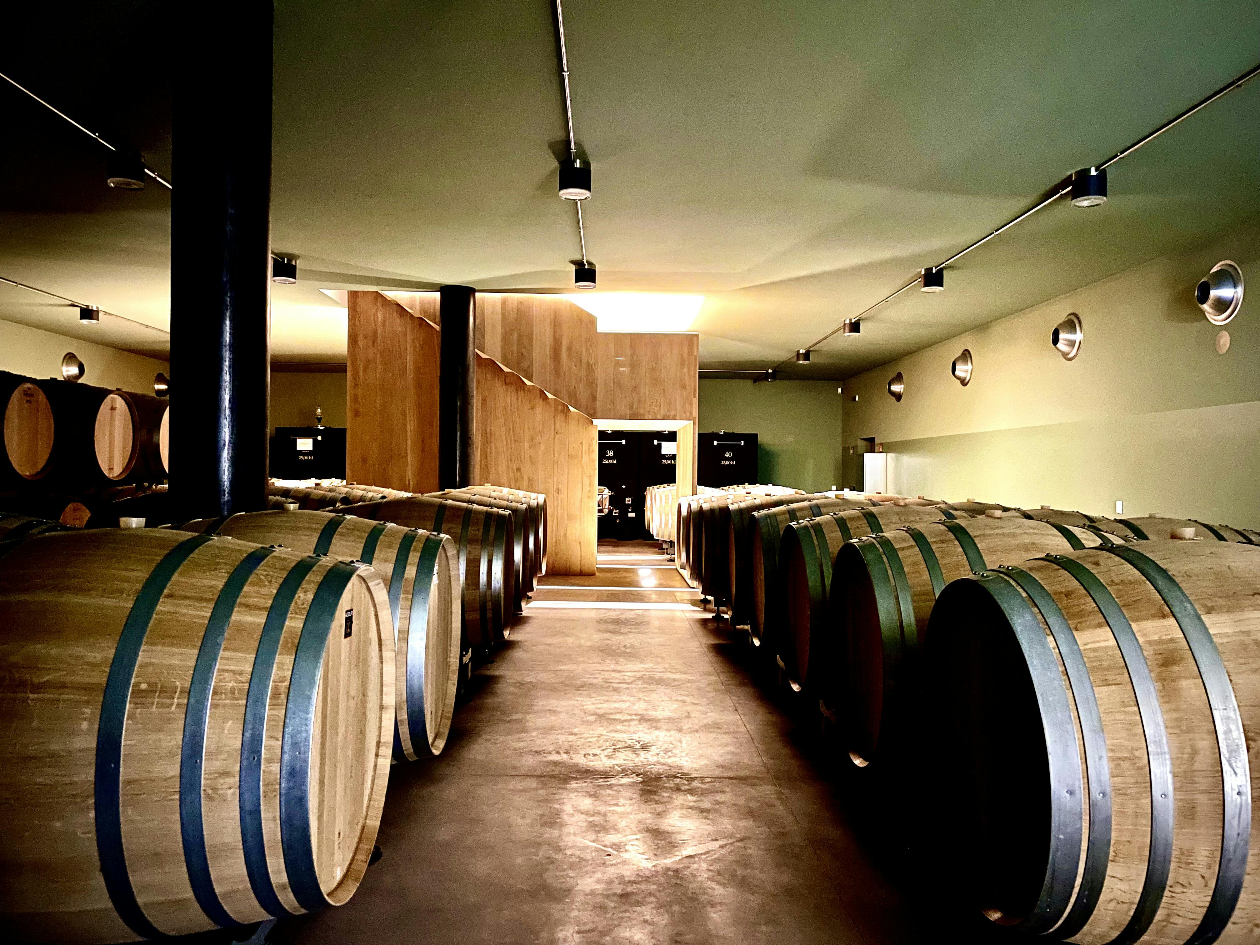 Barrels in the underground winery with the staircase in the background
