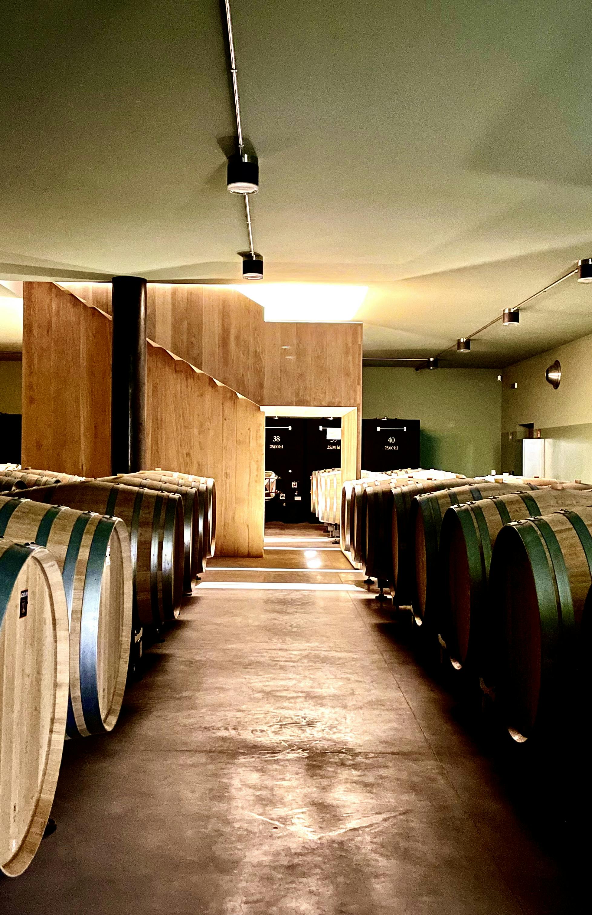 winery barrel room Barrels in the underground winery with the staircase in the background