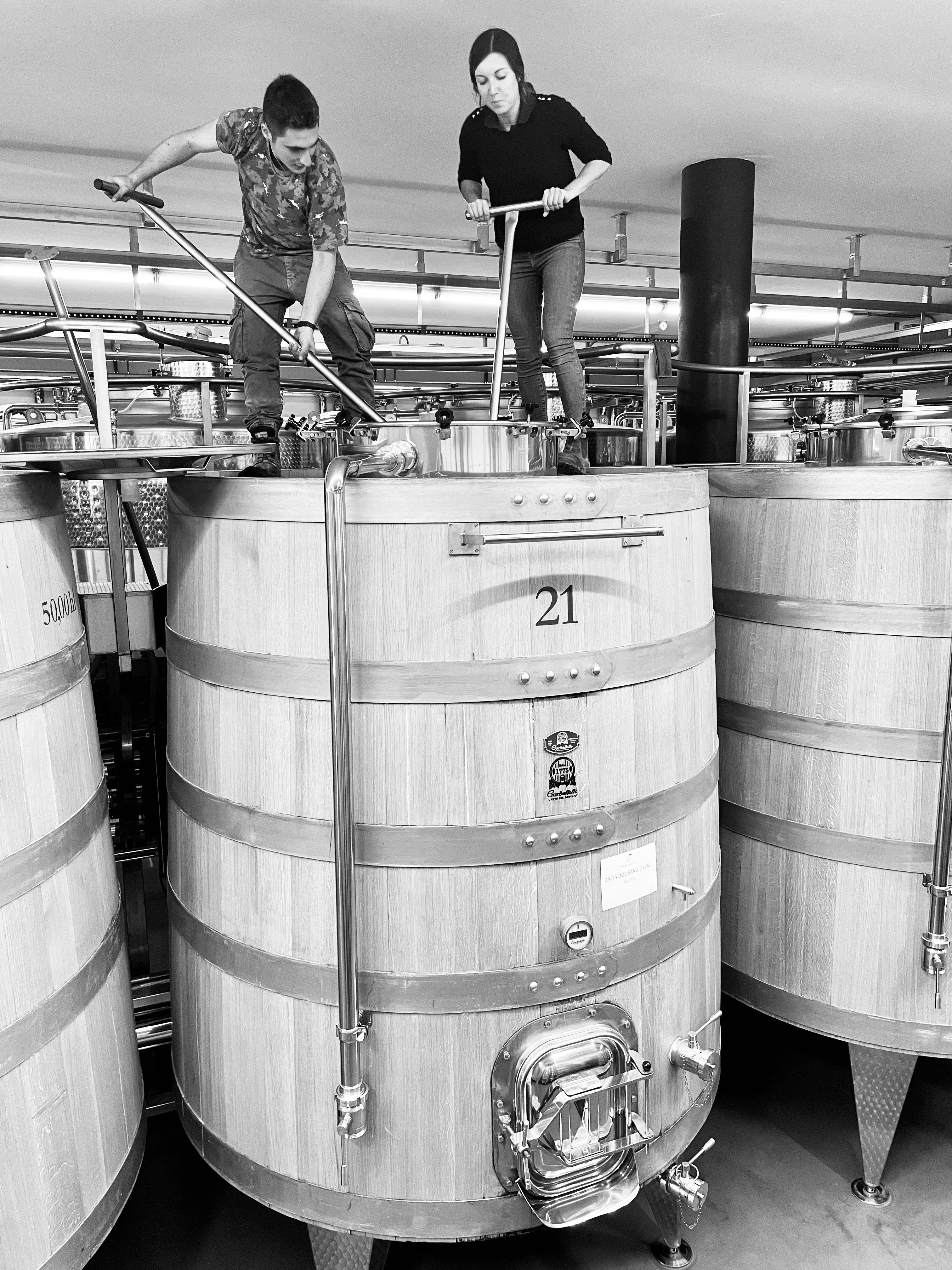 Punching down in the big wooden tank Punching down in the big wooden tank