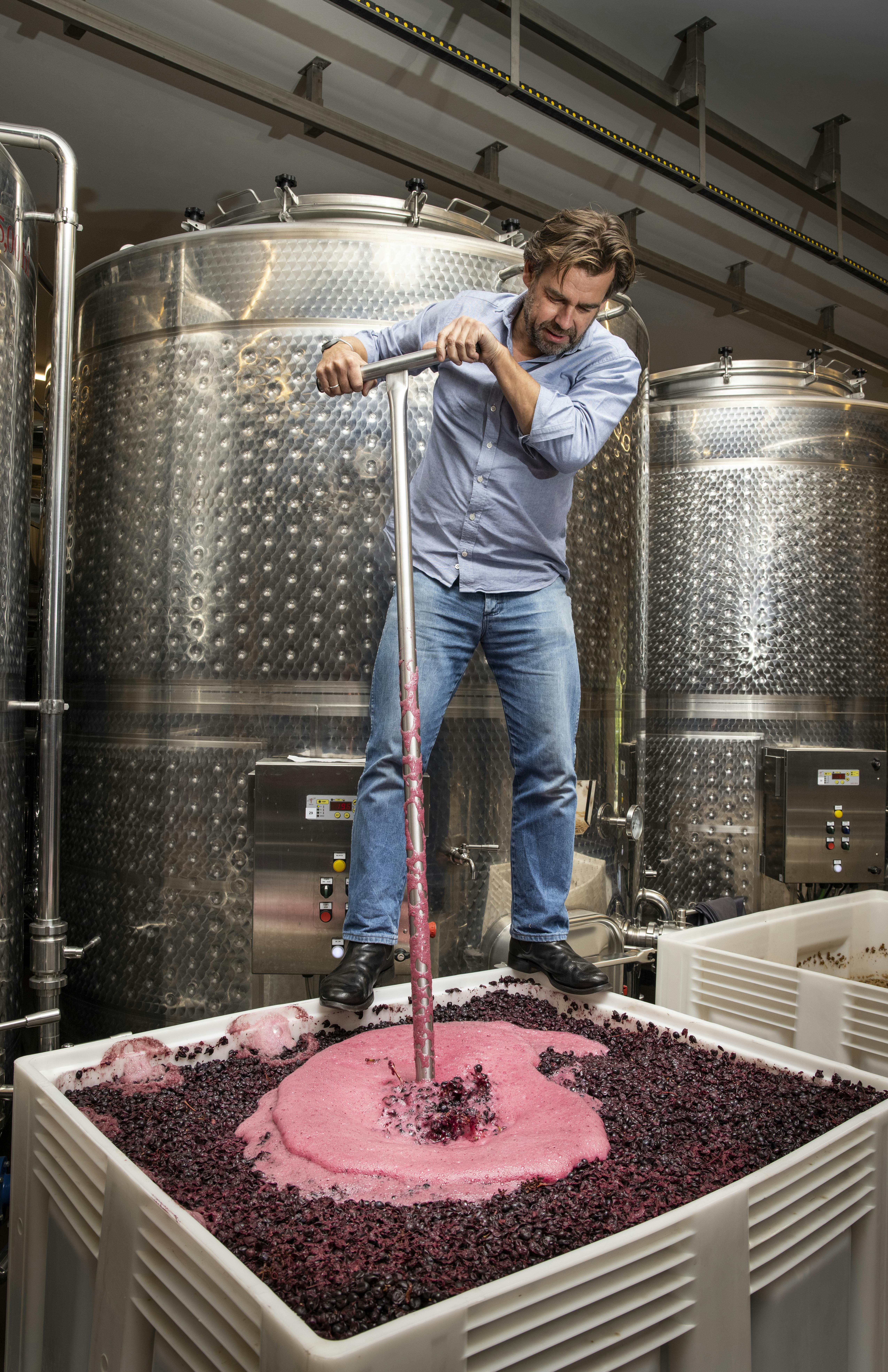 Winemaking_punching down by Tim Manning Winemaker Tim Manning is doing a manual punching down