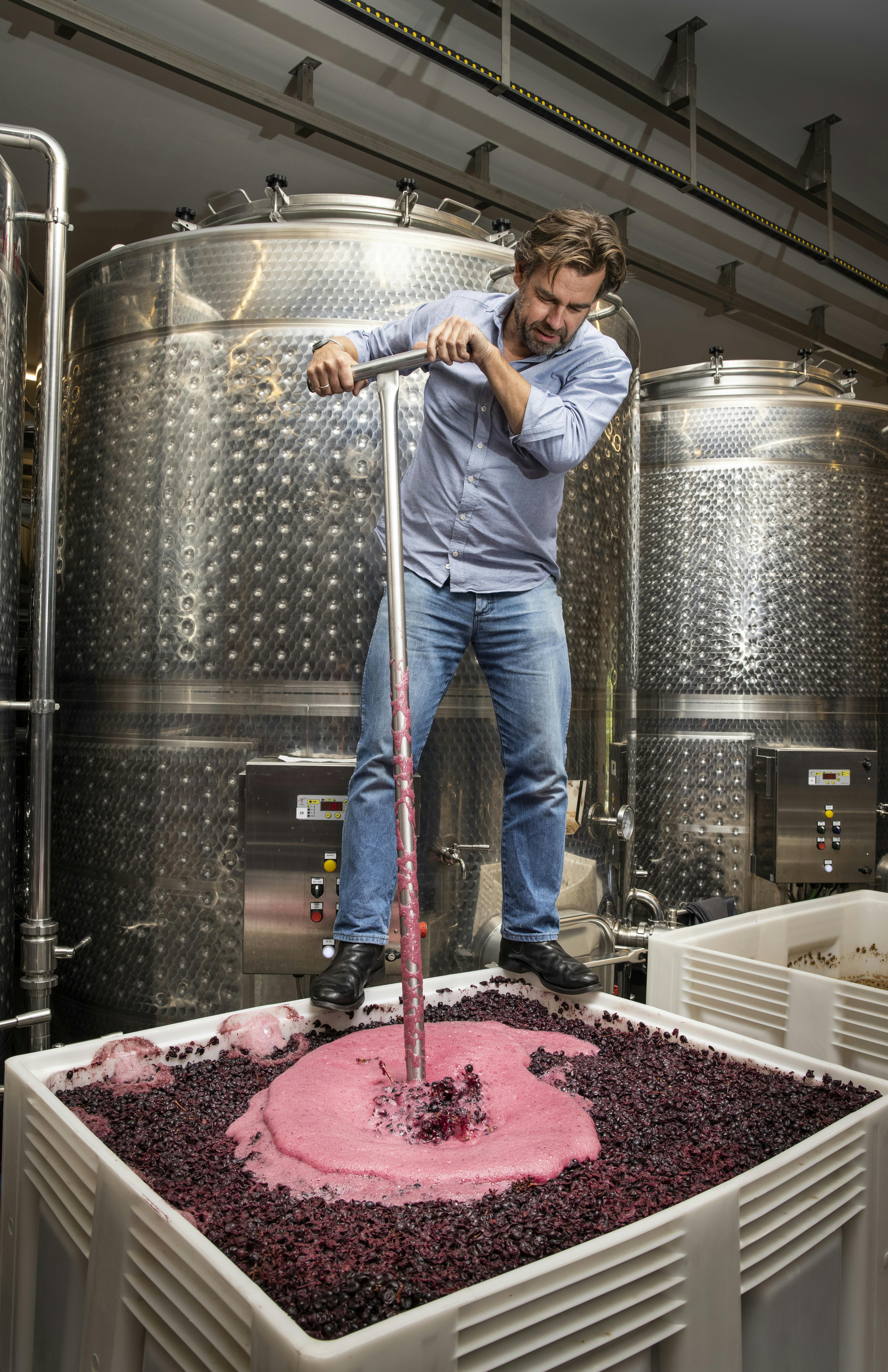 Winemaking_punching down by Tim Manning Winemaker Tim Manning is doing a manual punching down