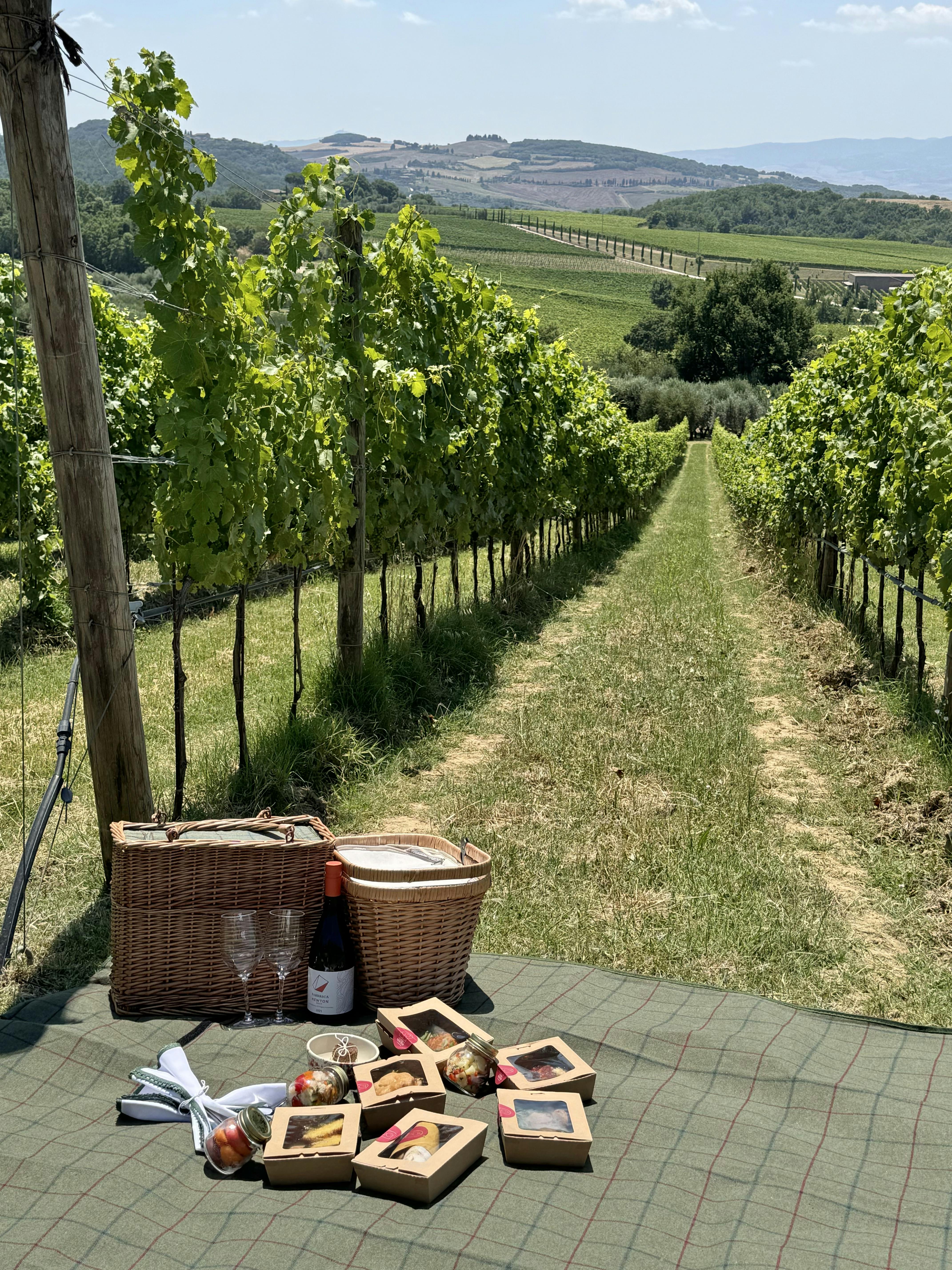 PicNic