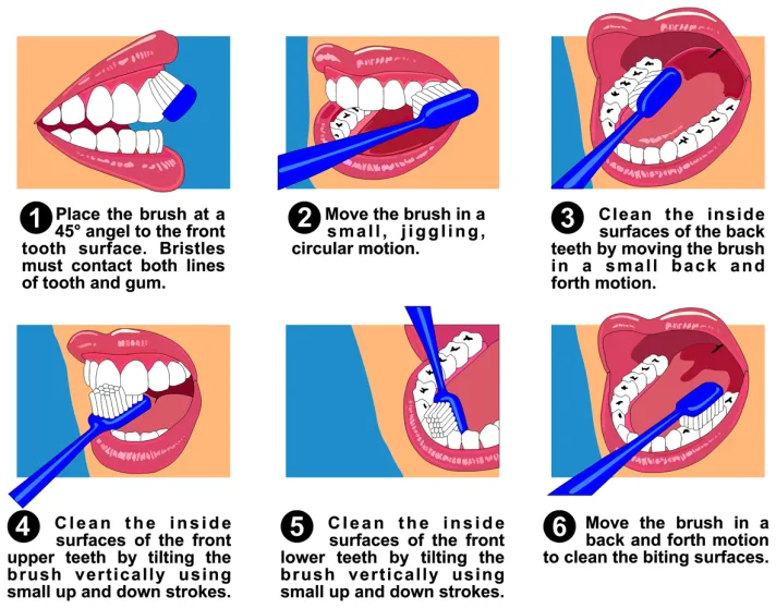 correct way to brush