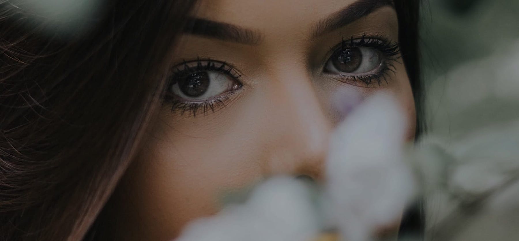 Quote Background media