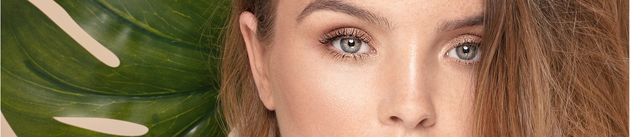 eye model