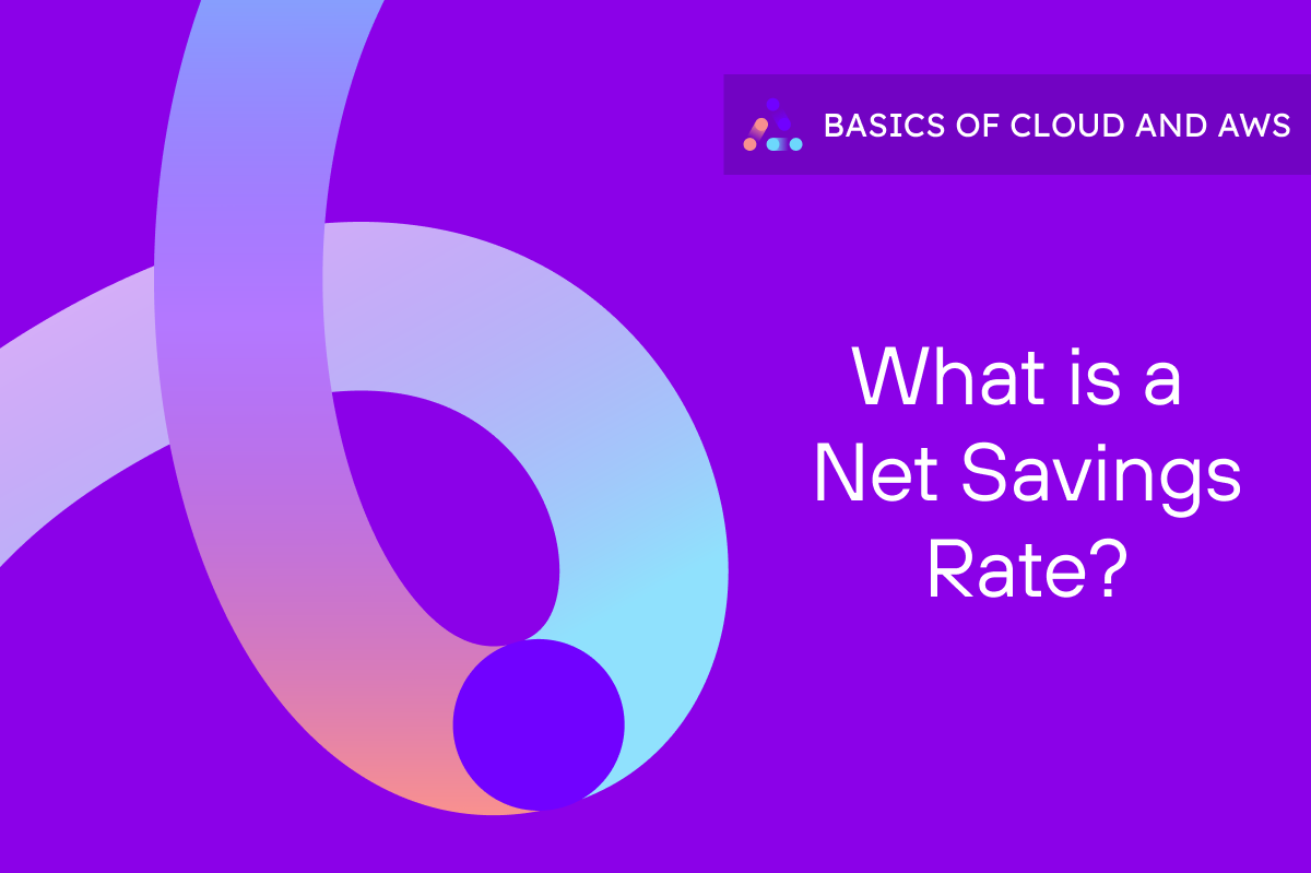 What is a net savings rate?