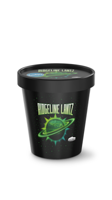 RIDGELINE LANTZ - FLOWER TUB