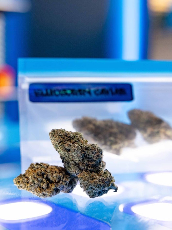 Close-up of Blueberry Caviar cannabis buds displayed in front of a clear resealable bag with a Blueberry Caviar label, highlighting trichome detail and color under cool blue lighting