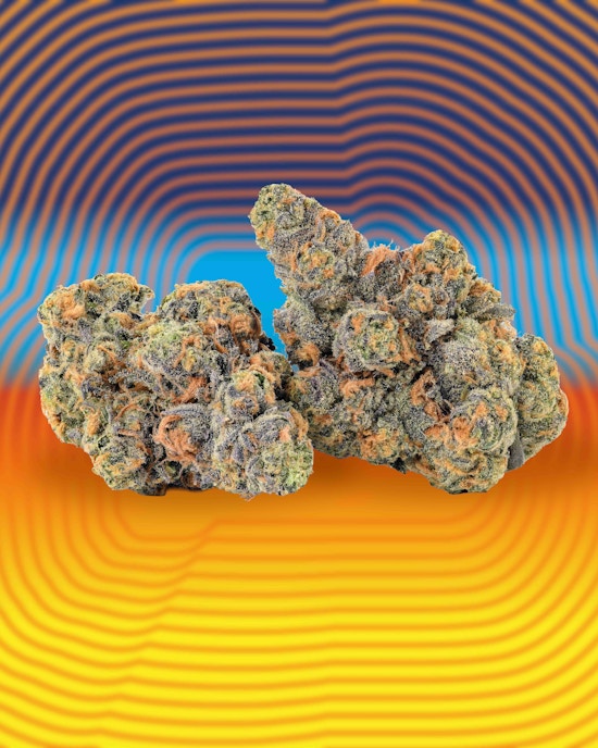 Fried Bananas cannabis flower from Cookies