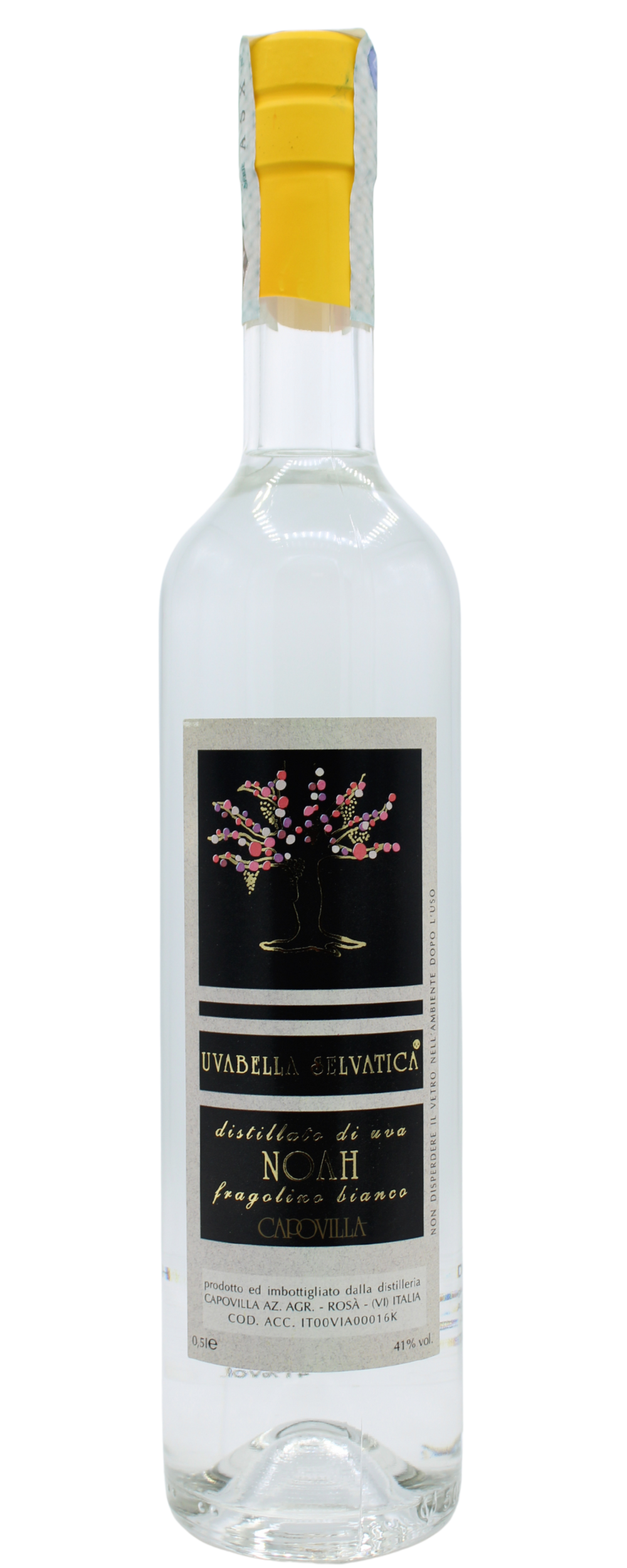 Distillato d’uva Noah - fragolino bianco