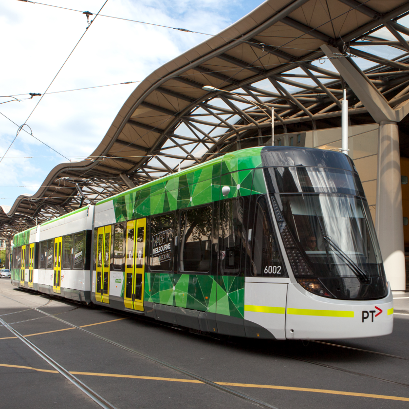 Yarra Trams' birds beam in Melbourne