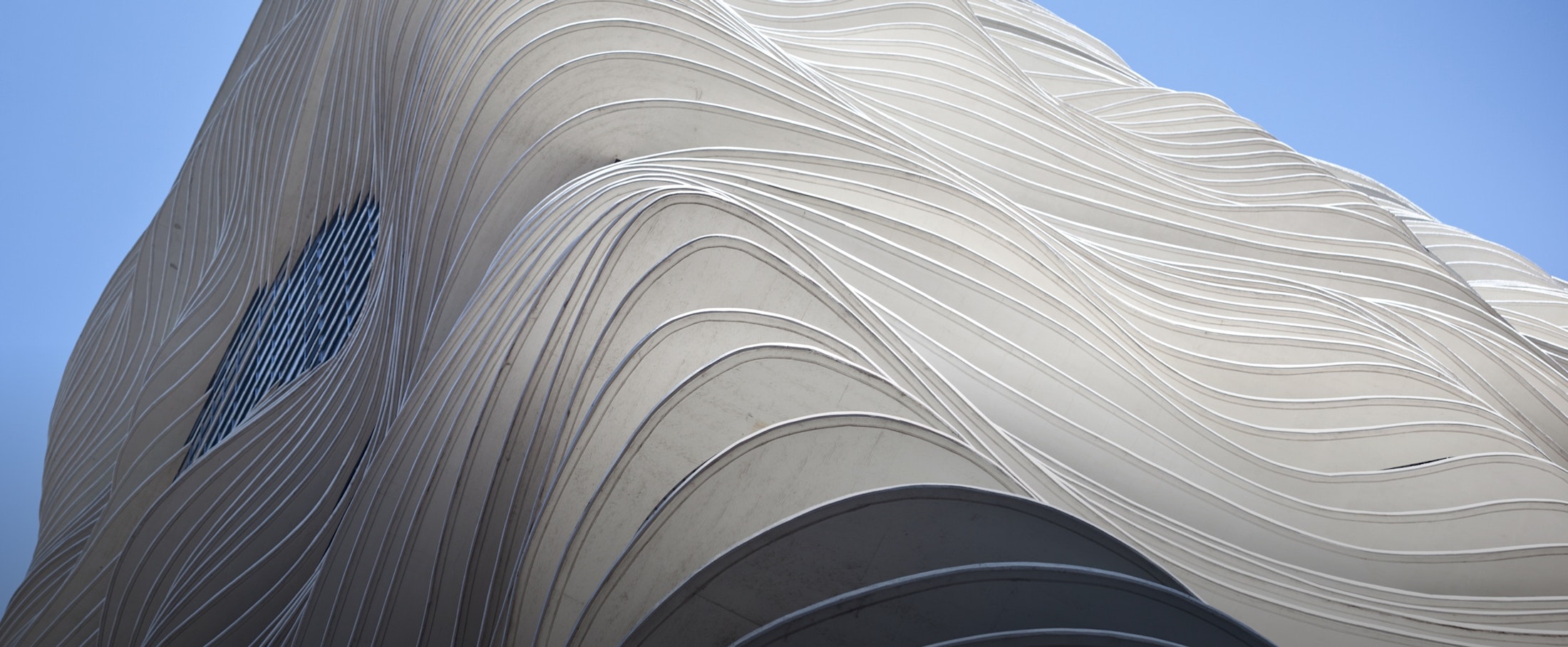 Dr. Chamata Background media