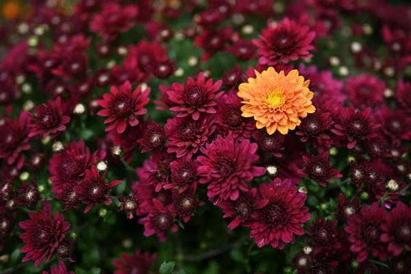 Because of You - November 2025