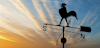 John Galt Solutions - Supply Chain Management Software