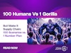 100 Humans Vs 1 Gorilla. But Make it Supply Chain. Thumbnail