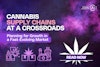 Cannabis Supply Chains at a Crossroads: Planning for Growth in a Fast-Evolving Market Thumbnail