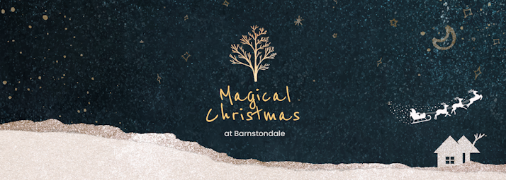 Barnstondale's Magical Christmas