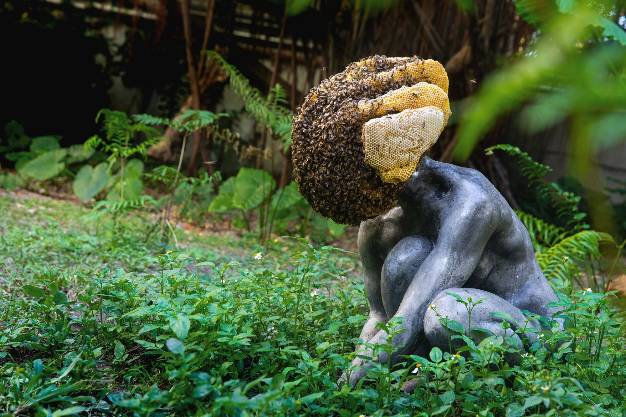 Live bee colony covering the head of a concrete cast body. The body is crouching and is placed in a garden.