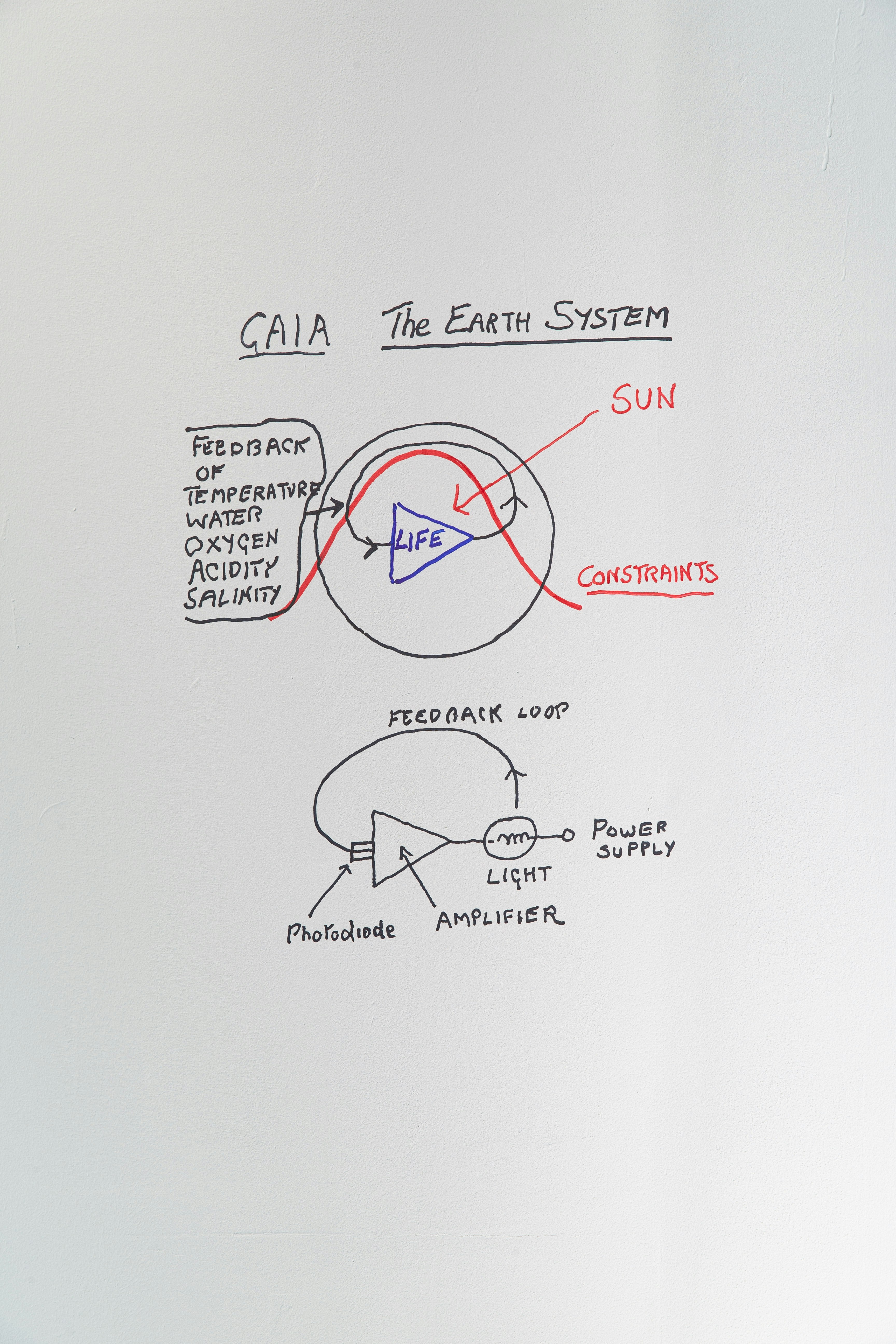 Hand-drawn diagram of Gaia and the Earth system.
